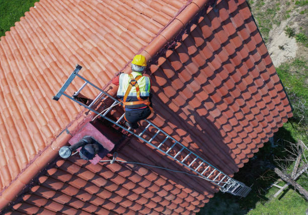 Best Roof Ventilation Installation  in Cary, IL