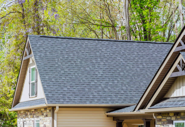 Best Chimney Flashing Repair  in Cary, IL