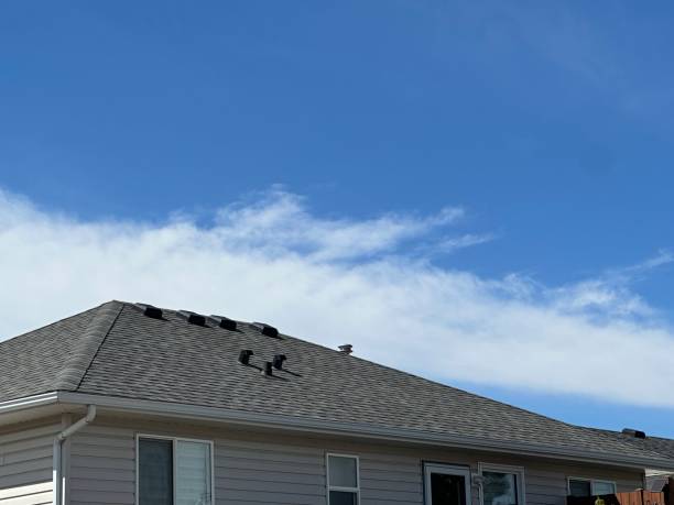 Best Metal Roofing Installation  in Cary, IL